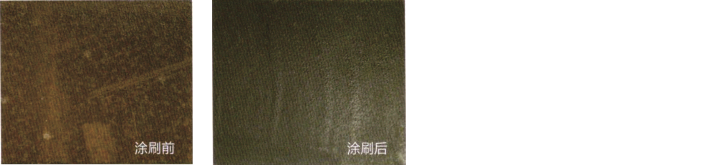 1637801368470493.png 01.png